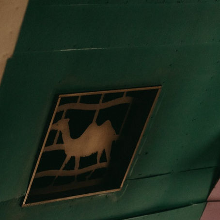 Building Update: An Extra Dose of Camel!