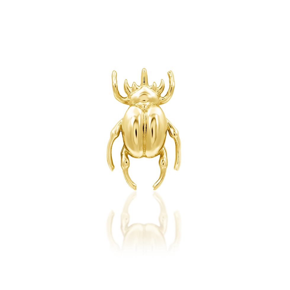 Thumbnail: Rhino Beetle Threadless