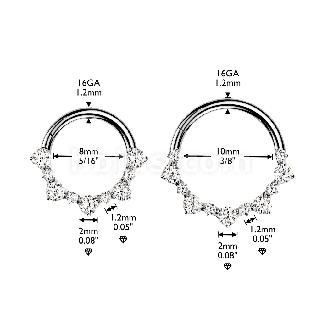 Titanium Hinged Segment Hoop Ring With 1.5mm & 2mm Round CZ Cluster