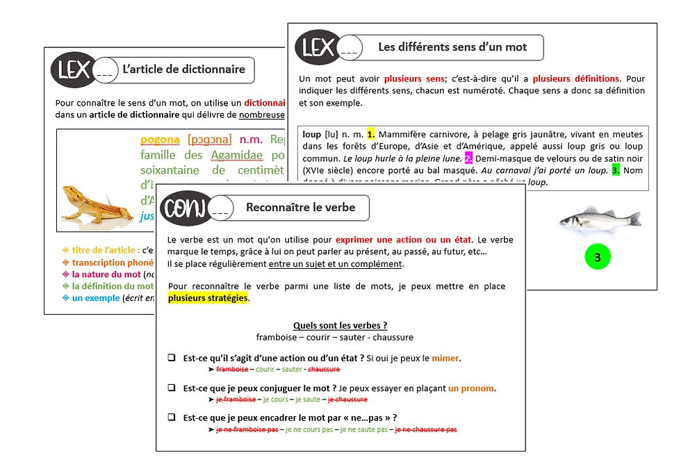 Traces écrites | Français