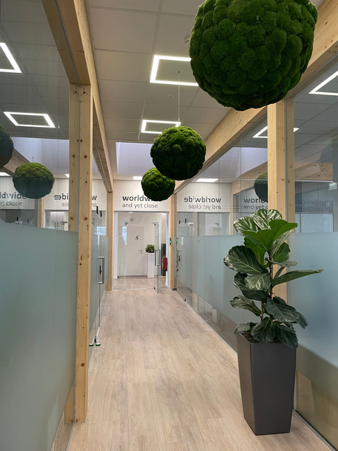 Office Interior Design