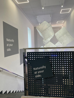 Office Interior Design