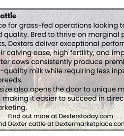 2026 Stockman Grass Farmer Ad