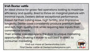 2026 Stockman Grass Farmer Ad