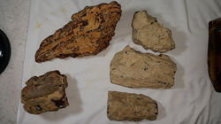 Copal en bruto