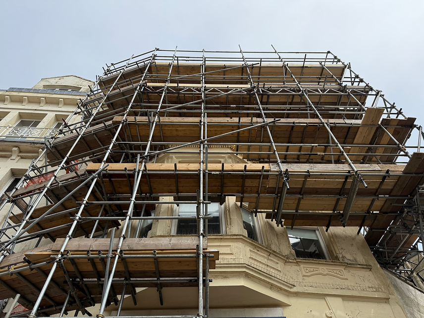 Tiger Scaffolding 33.heic