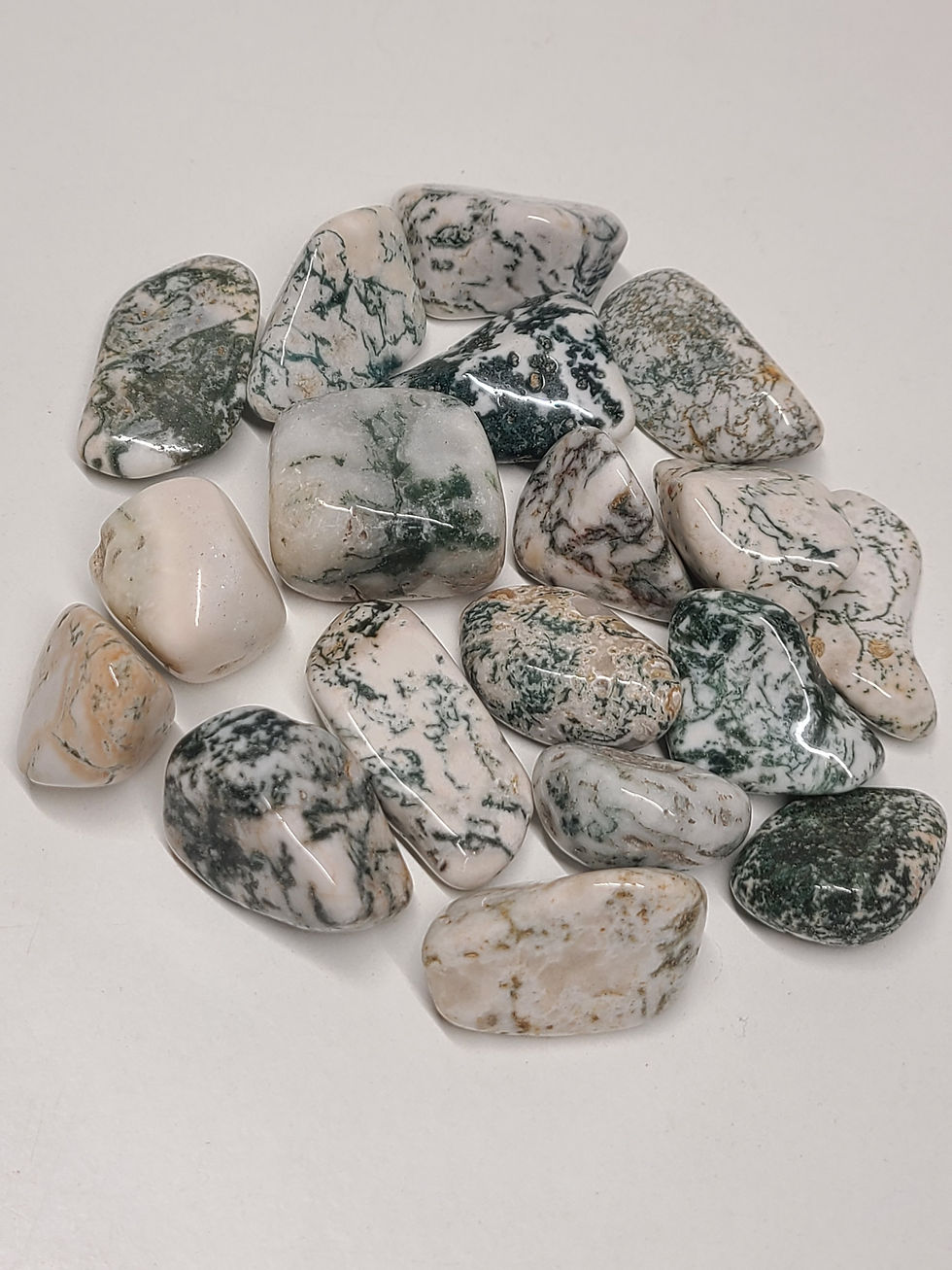 Tree Agate, Tumbled