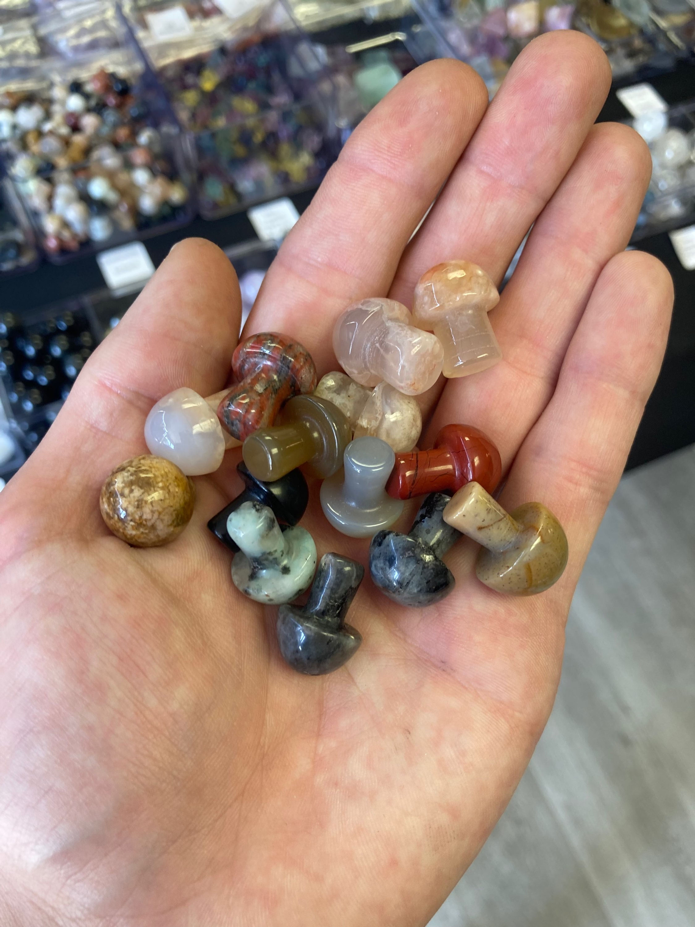 Small Mushrooms (Assorted)