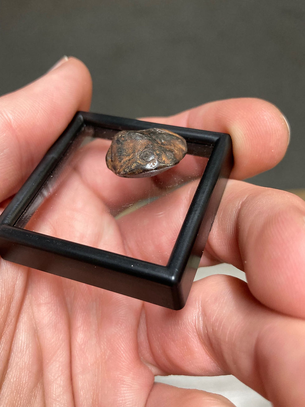 Thumbnail: Iron Meteorite Specimen (Canyon Diablo)