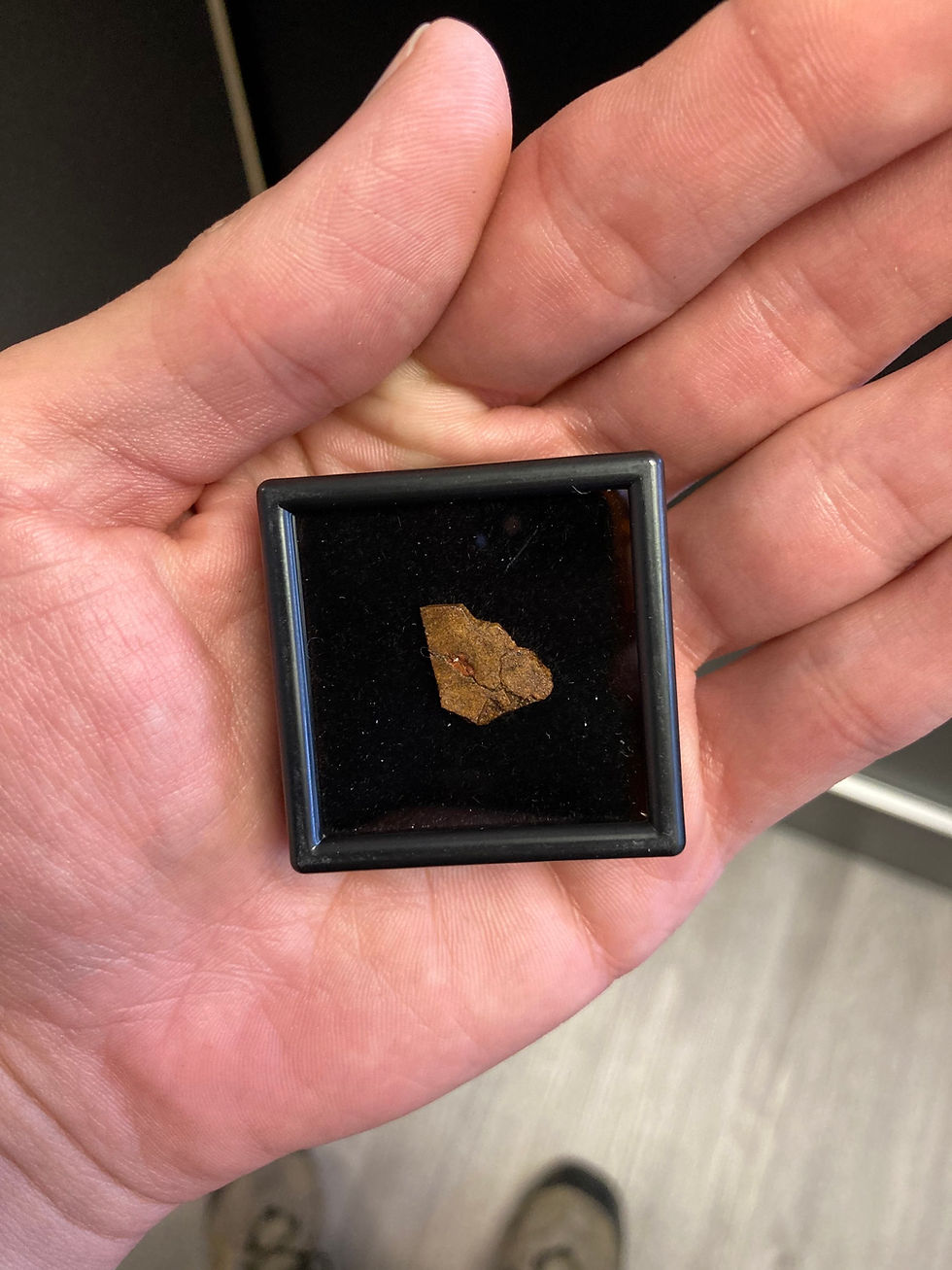 Thumbnail: Chondrite Meteorite (NWA 14399)