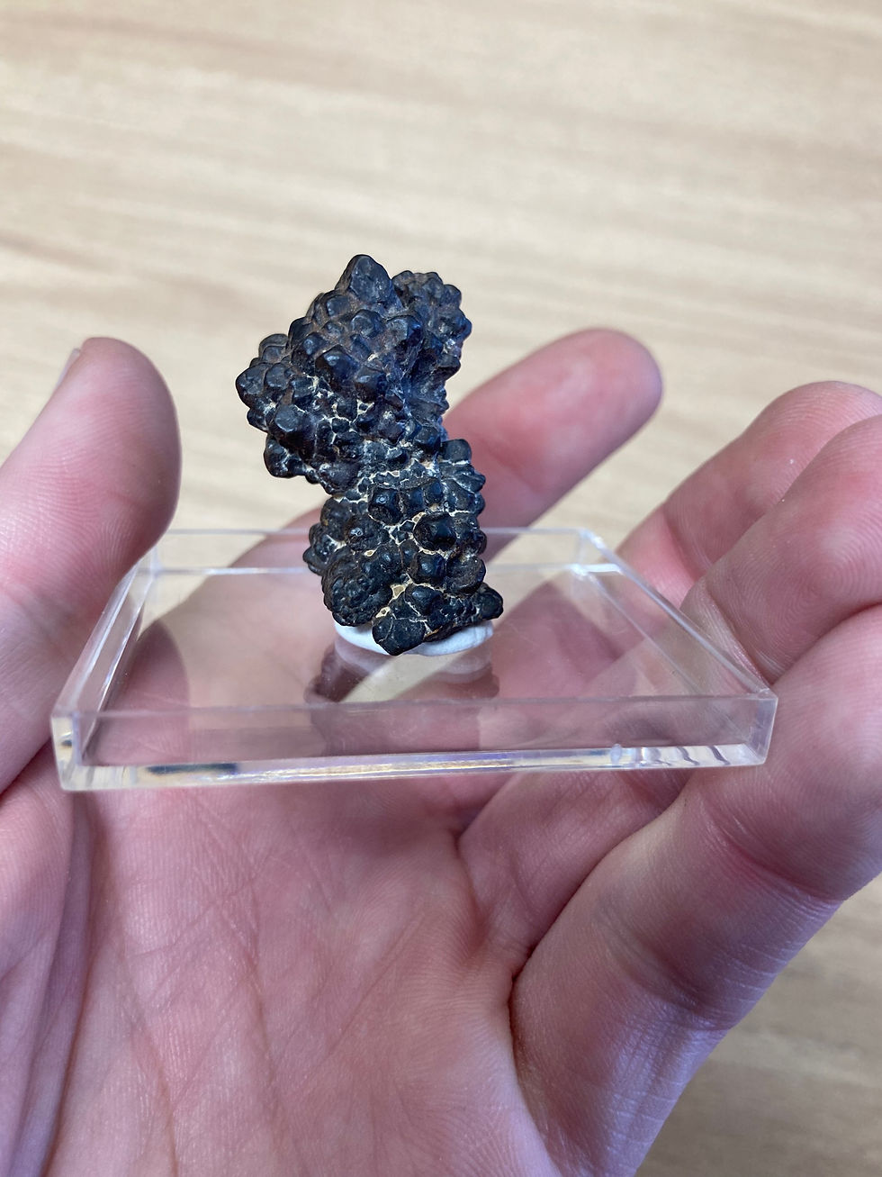 Thumbnail: Prophecy Stone Specimen