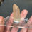 Thumbnail: Pink Shadow Lemurian Specimen