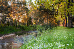 Creswick River5