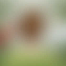 MANAGING OUR SELF-LIMITING BELIEFS