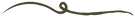 brown line.png