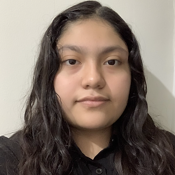 Screenshot 2025-09-26 at 8.40.58 PM.png