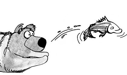 De fiscaal advocaten van KanPiek Fiscale Advocatuur weten wanneer het raadzaam is te zwijgen en wanneer niet