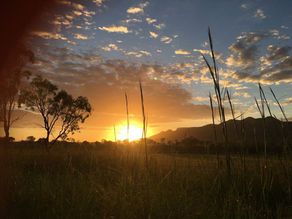 Sunset over a grassy field, silhouetting trees and mountains. The sky is filled with orange and blue hues, creating a serene atmosphere.