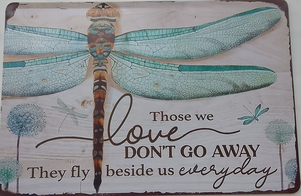 Close-up of a turquoise dragonfly on a wood background with the text: "Those we love don't go away. They fly beside us every day."