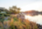 generational-splendor-banner.jpg