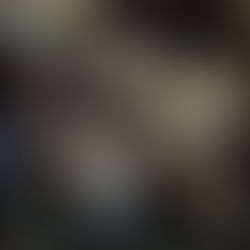 20. století v Národním muzeu