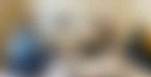 Serious reading the the art lover!