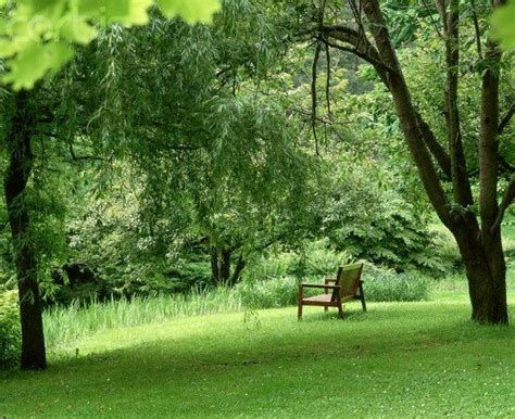 Meeting Place Prayer: A Further Exploration of Imaginative Prayer