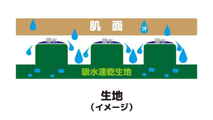 生地イメージハスの葉.gif