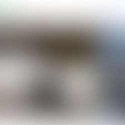 Cars & Bids: A Firsthand Account