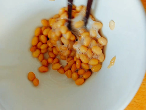 納豆100 手作り大つぶ納豆 | Natto24