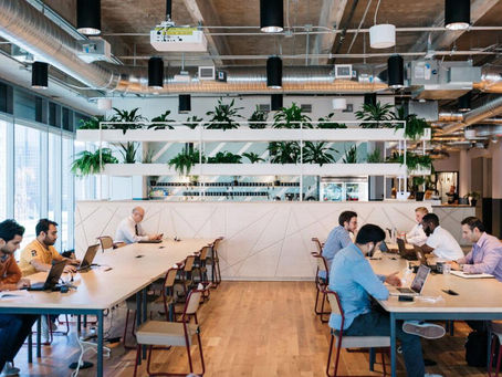 Virtual Offices in Sharjah: Smart Business Solutions