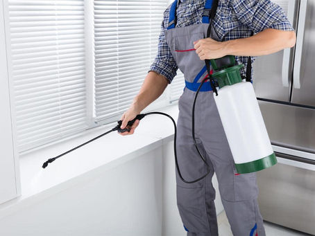 Expert Pest Control in Dubai: Protect Your Home & Business