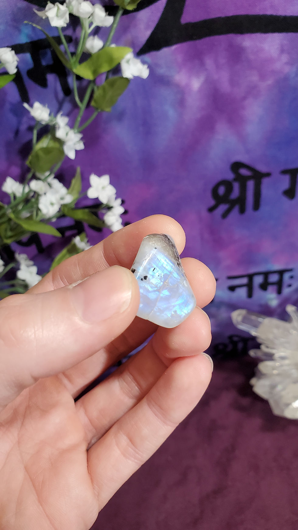 Thumbnail: Rainbow Moonstone