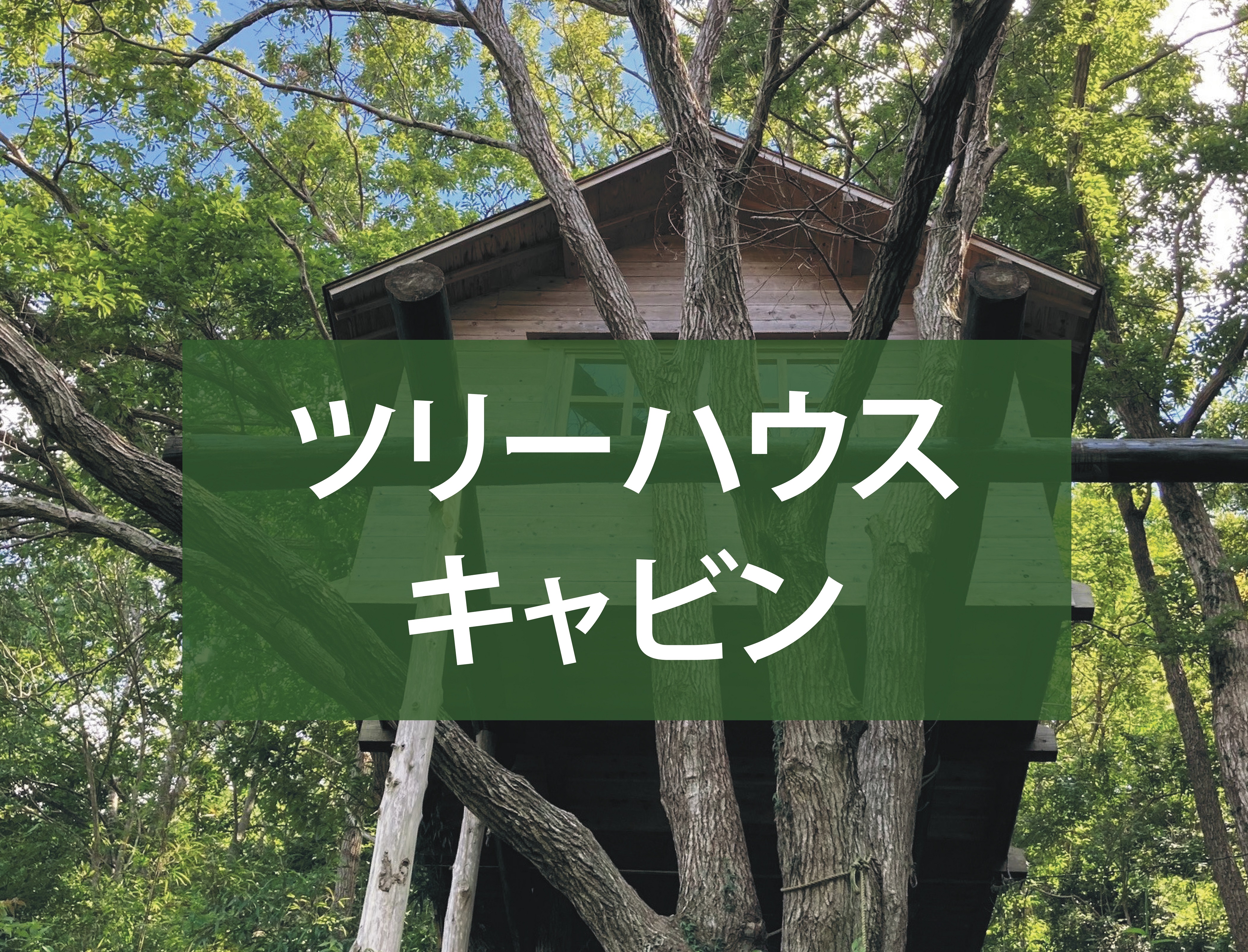 森林道楽 - 4