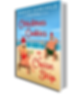Book Cover 3D Final.png