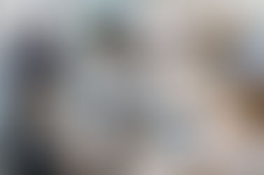 The Core Functions of Human Resources Management: Essential Roles Explained Simply