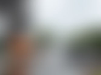 Curiosidade Naval: a relação entre a Marinha do Brasil e os Bombeiros Militares do Brasil.