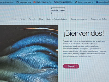Nueva Web Nathalie Leturcq: Reserva Talleres y Compra Tintes Naturales
