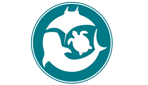 Marine Megafauna Foundation