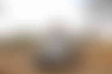 Telemetry Search Musekese Conservation