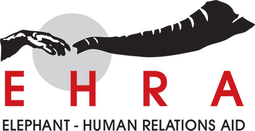 EHRA | Indigo Earth Foundation