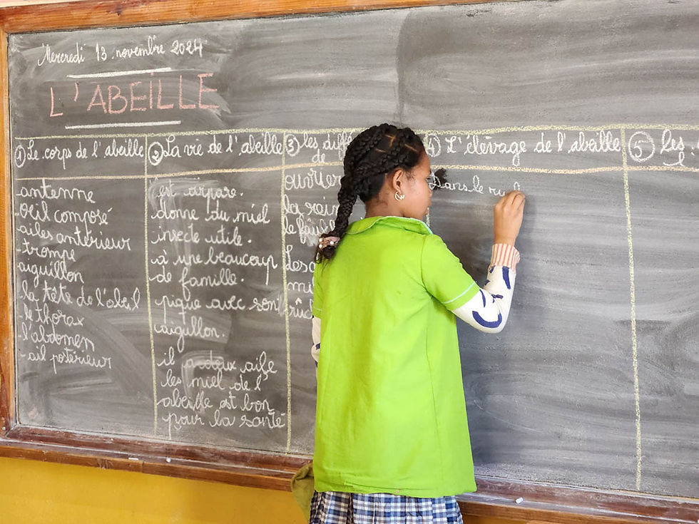A pupil is writing on the chalkboard and answering a question about bees.
