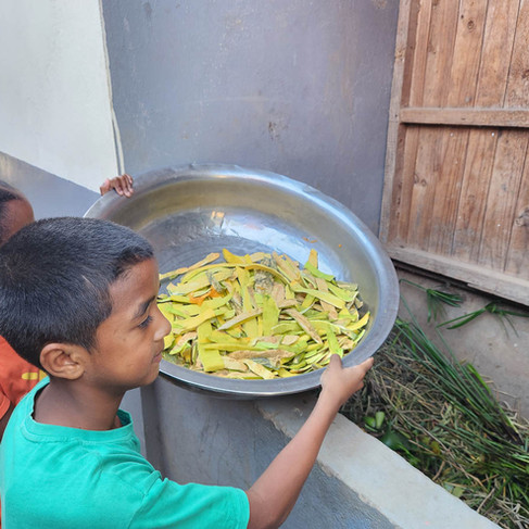 Organic waste composter