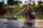 Cleaning of resident animals’ living areas