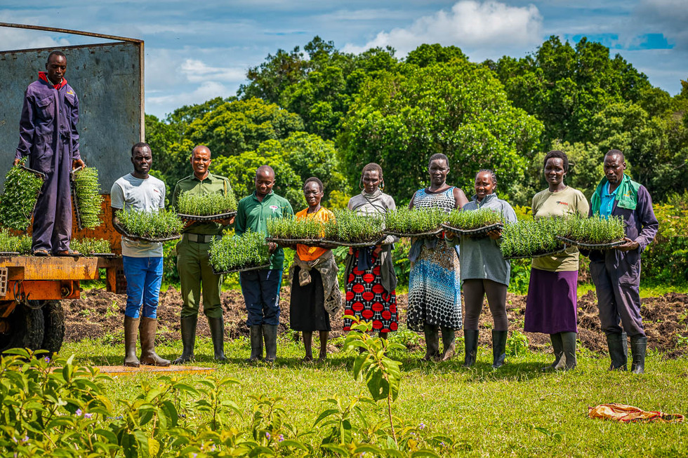 Community members growing alternative crops to reduce human-elephant conflict