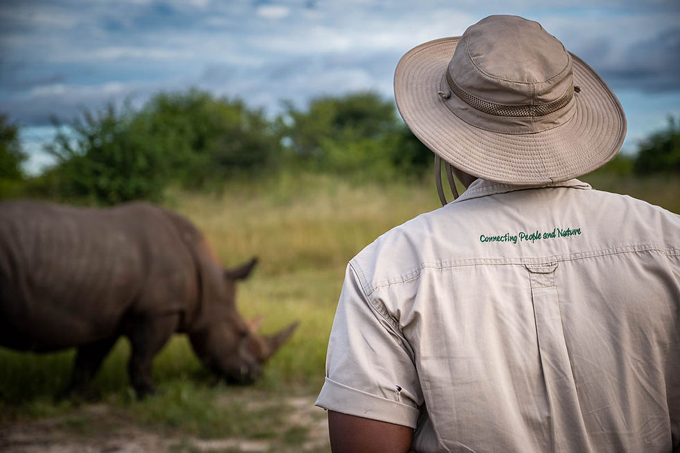 Connecting People and Nature, a guide looking at a white rhino