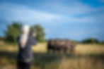 Join Zimbabwe Rhino Conservation And Safari - 13 days - October 2027 - 5,050 USD