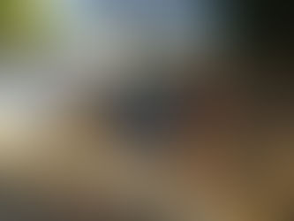 電灯の基礎工事