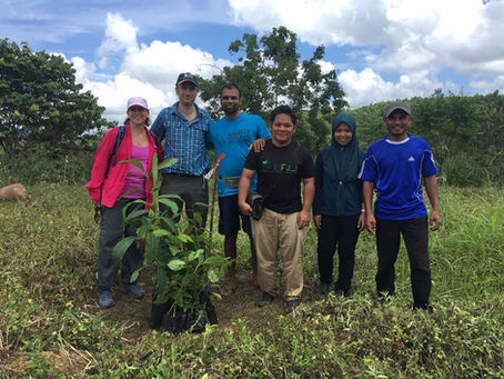 WILDLIFE VOLUNTEERING ON BORNEO : CONSERVATION VOLUNTEER BORNEO