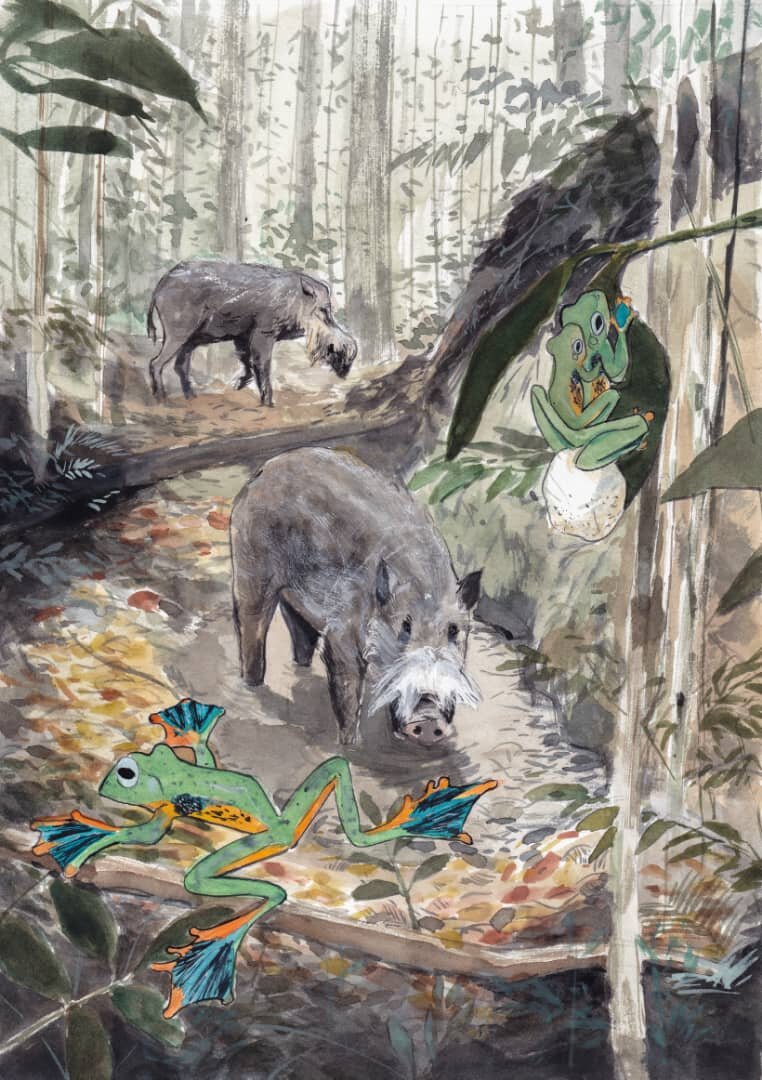 illustration by Kenneth Chin